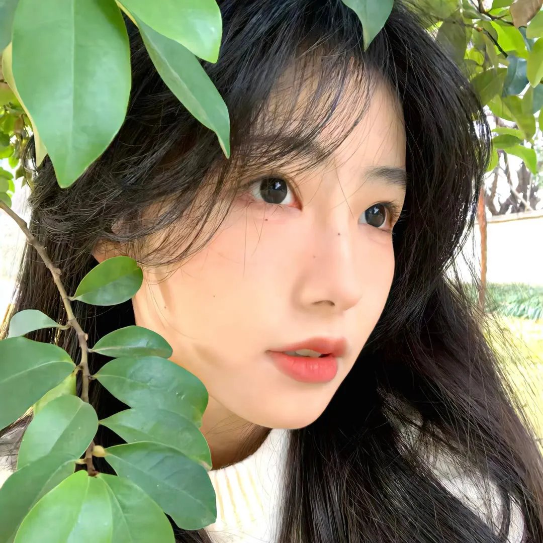 法证先锋